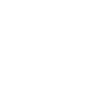 A-Z Logo White